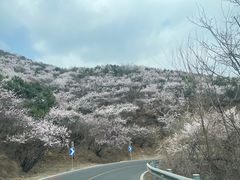 -妙峰山风景名胜区