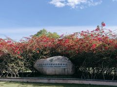 -中国科学院西双版纳热带植物园