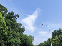 -青龙山国家森林公园