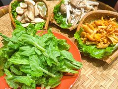 -滇野云南野生菌餐厅(陕西南路店)