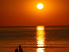 -北戴河转鱼·炒螃蟹酱餐厅