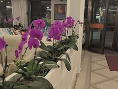 -天天渔港(杏林街店)