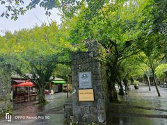 -海口火山口国家地质公园