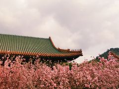 -珠海圆明新园