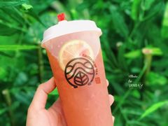 西柚青柠豫红-眷茶(赛格国际购物中心店)