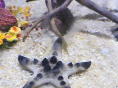 -海合安青岛极地海洋公园