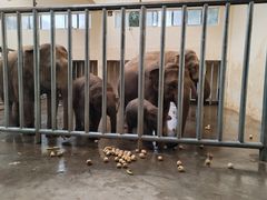 -石家庄市动物园