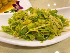 炝拌香芹菜-东四民芳餐厅(世茂工三店)