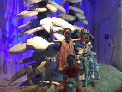 -华夏文旅海洋公园