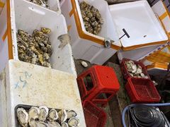 -蚝哥花姐湛江烤生蚝(美丽湾市场店)
