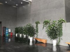 -柳州白莲洞洞穴科学博物馆