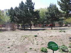 -长春公园(普阳街道)