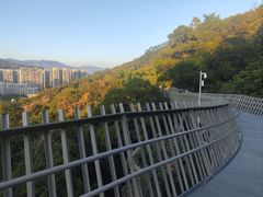 -福道