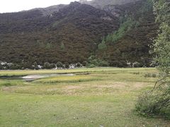 -稻城亚丁景区-冲古草甸