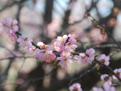 -福建天门山