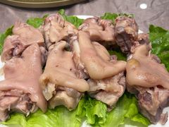 -丁老爷子苏香圆