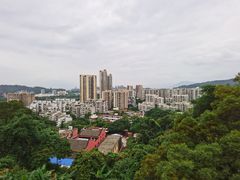 -福道