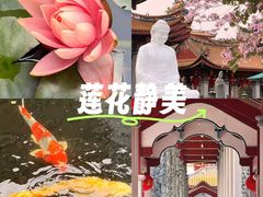 -仙岳公园