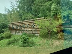 -前小桔亲子创意农场·草莓采摘·露营烧烤
