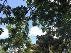 -九华山风景区月身宝殿