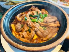 -新白鹿餐厅(虹桥南丰城店)