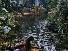 -郑州植物园