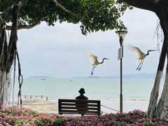 -音乐广场
