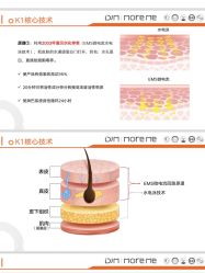-三只熊皮肤管理中心旗舰店