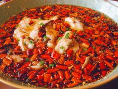 沸腾鱼片-梧桐树下(云锦世家店)