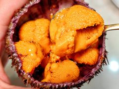 -喜聚薈·花膠雞海鮮火鍋(越秀店)