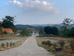 -南宁良凤江国家森林公园