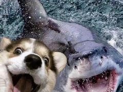 -湖北味道(湖北大厦店)