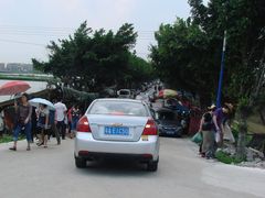 车来人往-海鸥岛