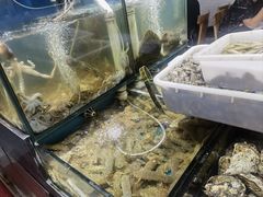-九层海鲜塔(市南店)