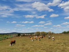 -塞罕坝国家级自然保护区