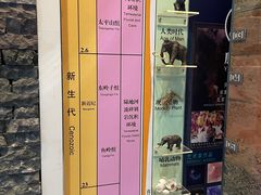 -房山世界地质公园博物馆