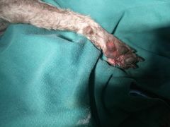 -畜牧兽医站(共江路店)