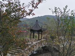 -石塘人家