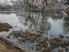 -青城公园