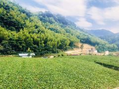 -嵛山岛