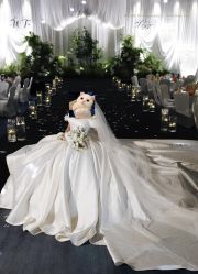 -琥珀婚礼策划AMBER WEDDING