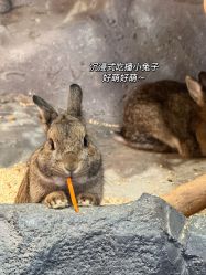 -Zoolung Zoolung动物主题公园(海信广场店)