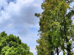 -嘉北郊野公园
