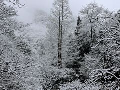 -安吉龙王山风景区