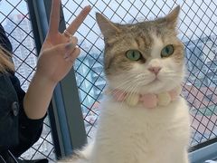 -怪兽屋·羊驼·猫咖·狗咖(俊华广场店)