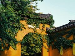-西园戒幢律寺