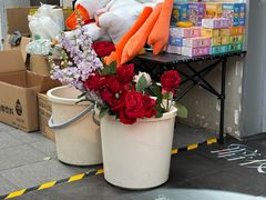 -沪上阿姨·精选茶饮(广州区庄店)