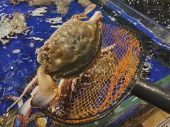 -高佳庄·舟山海鲜(海景旗舰店)