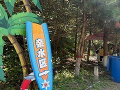 -少华山国家森林公园