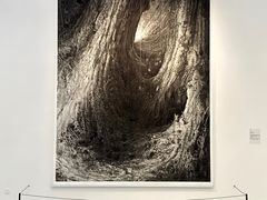 -时代美术馆-成都馆